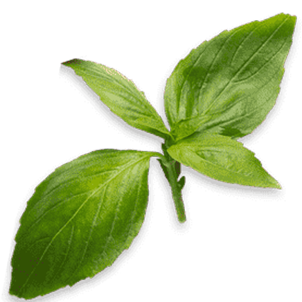 Capital Tea photo 5