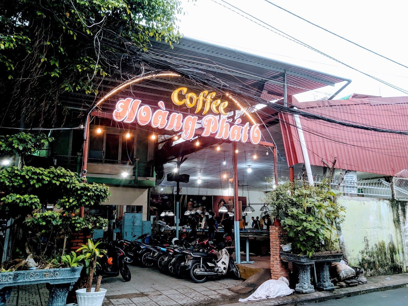 càe hoàng phát 6
