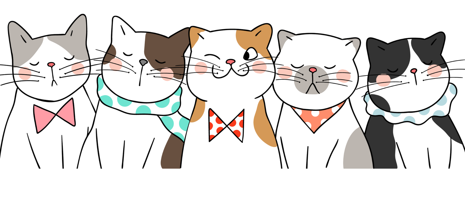 don't stress meowt Cat Cafe photo 7