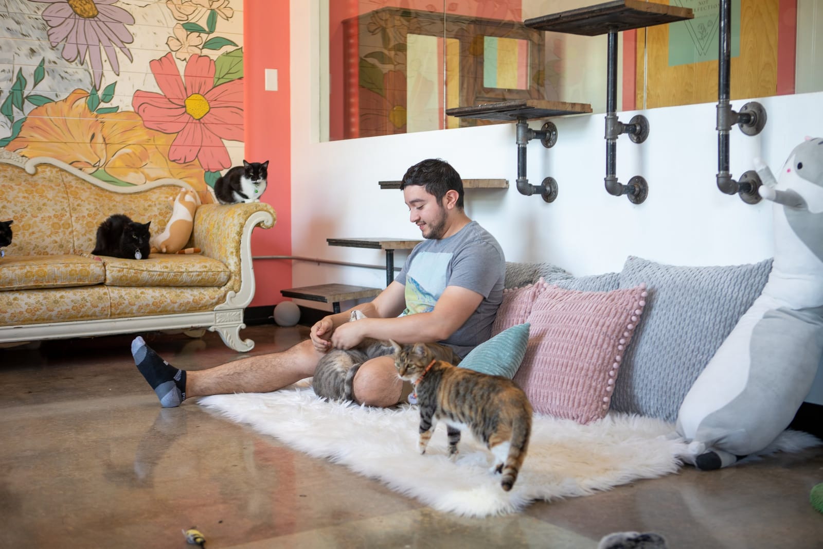don't stress meowt Cat Cafe photo 5