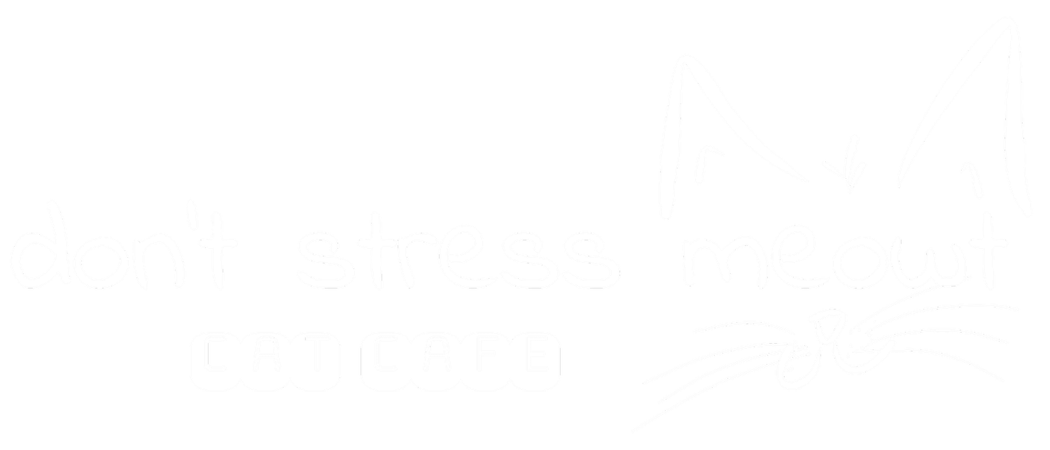 don't stress meowt Cat Cafe photo 3