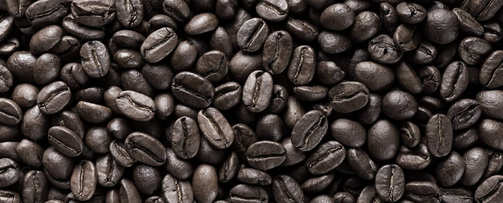 E-COFFEE Việt Nam photo 3