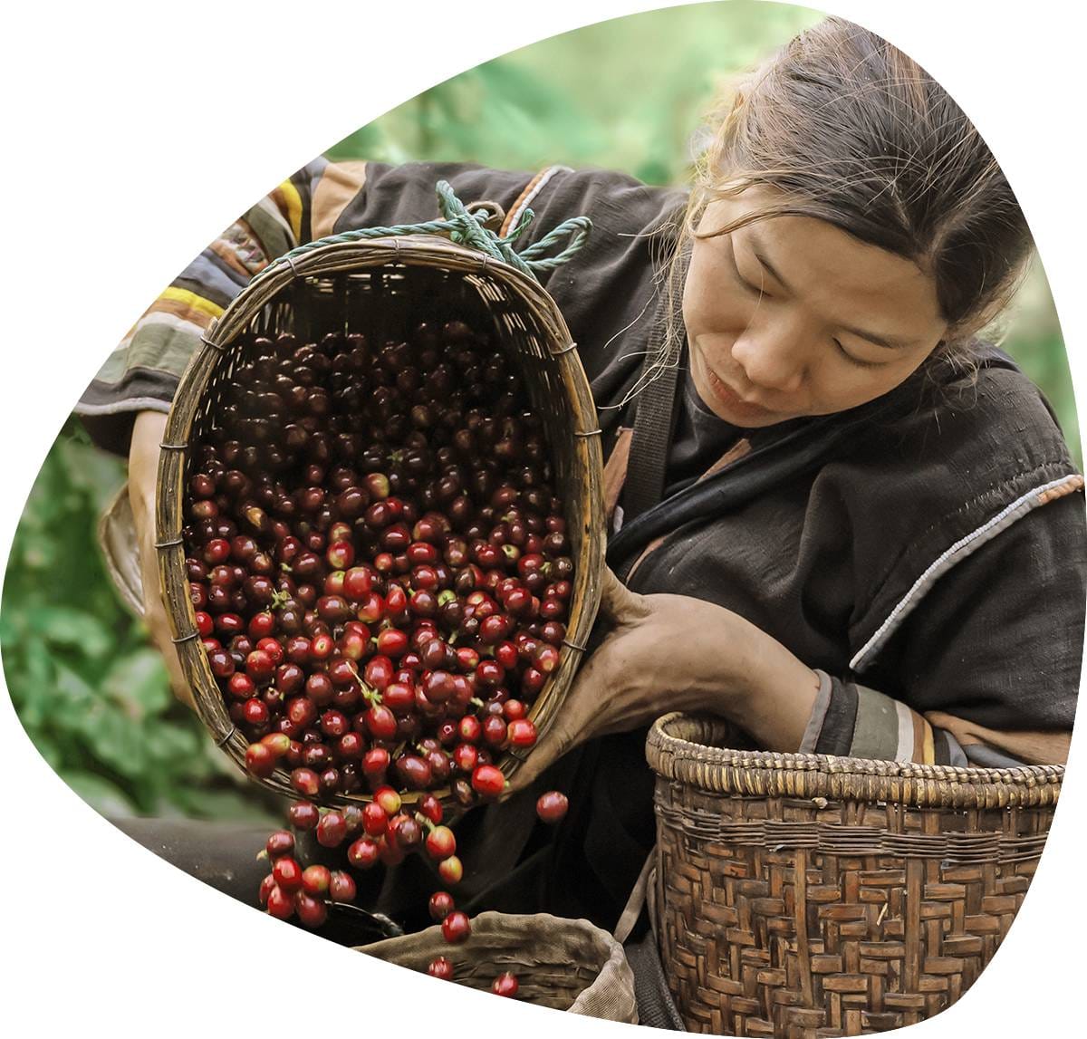E-COFFEE Việt Nam photo 4