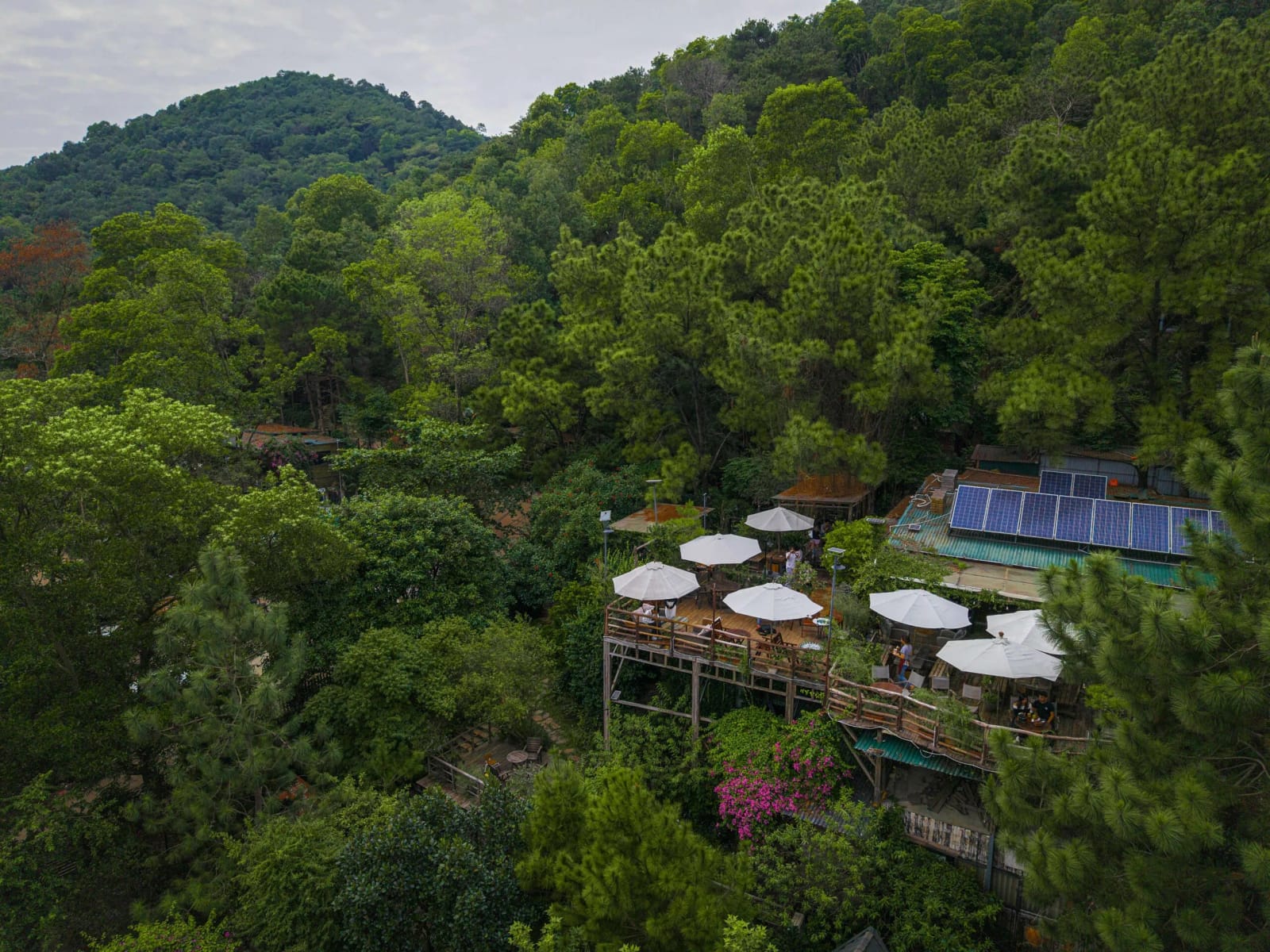 Nhà Bên Rừng - U Lesa Retreat