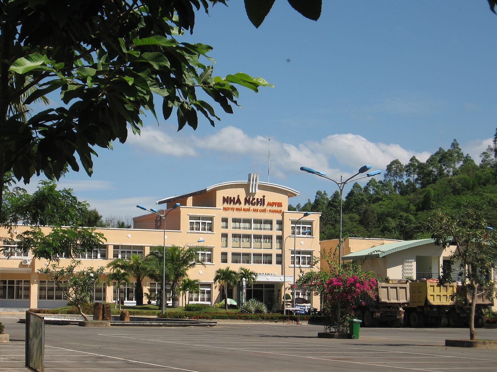 Trà Sâm Dứa