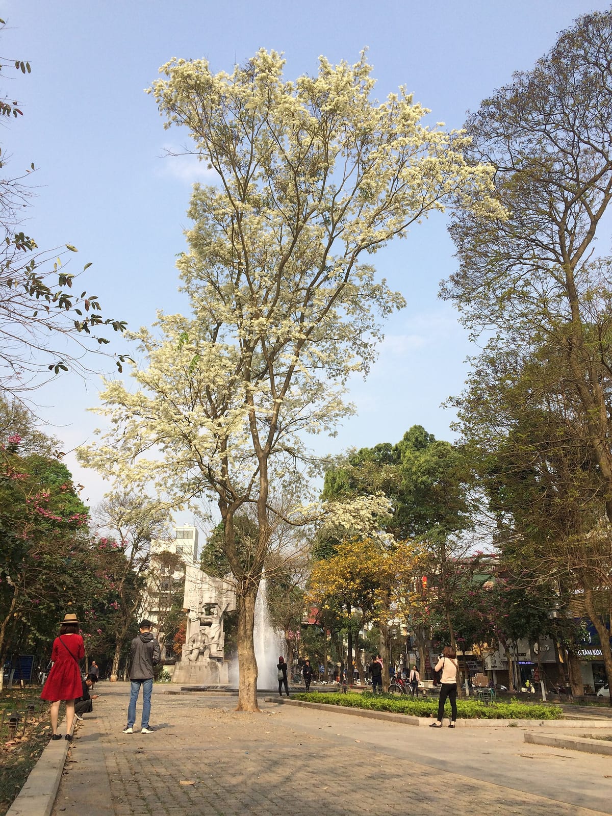 Phê Đây photo 2