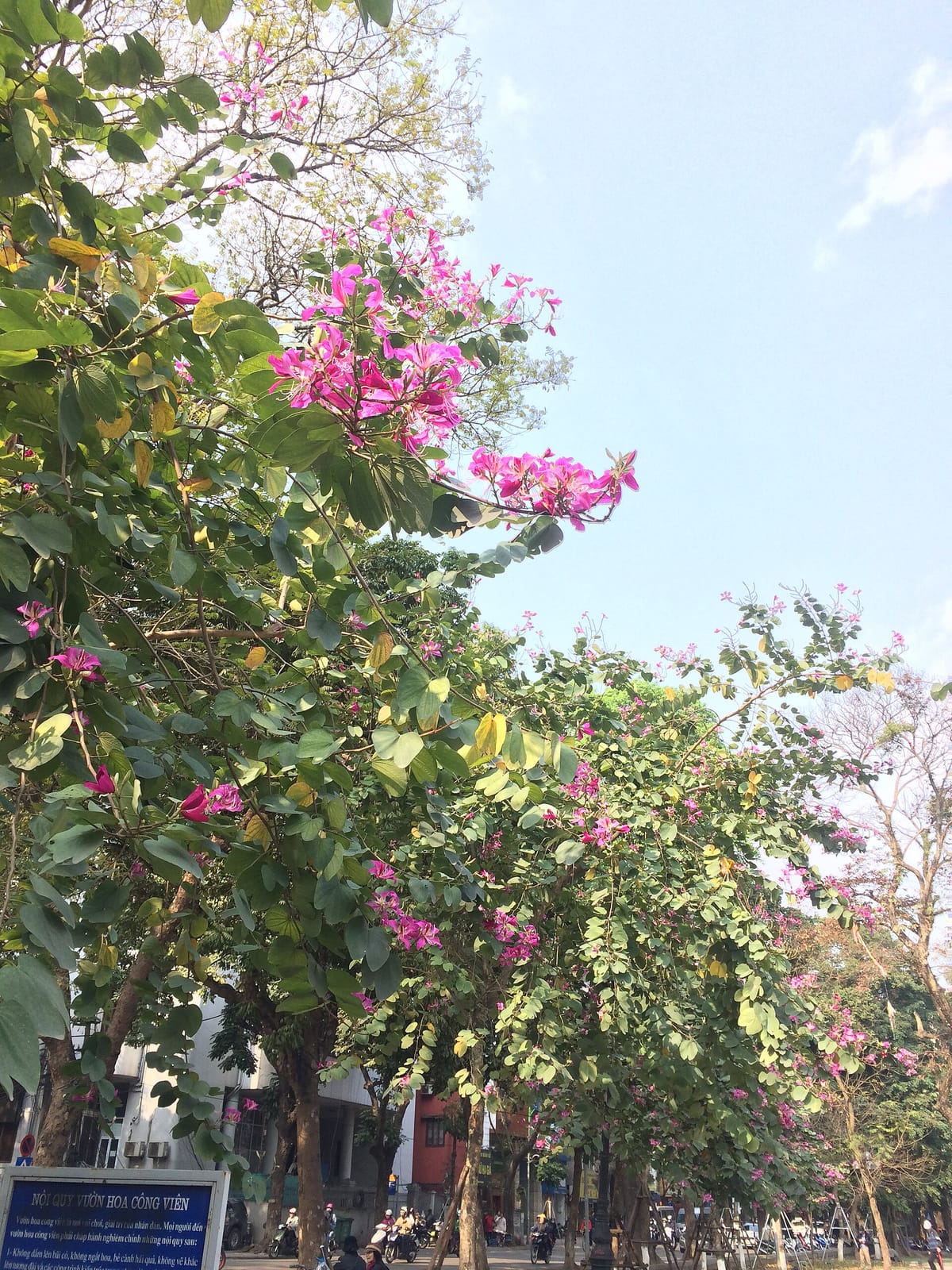 Phê Đây photo 3
