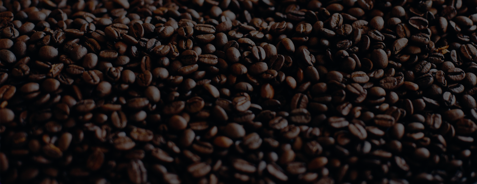 Chicory Coffee House