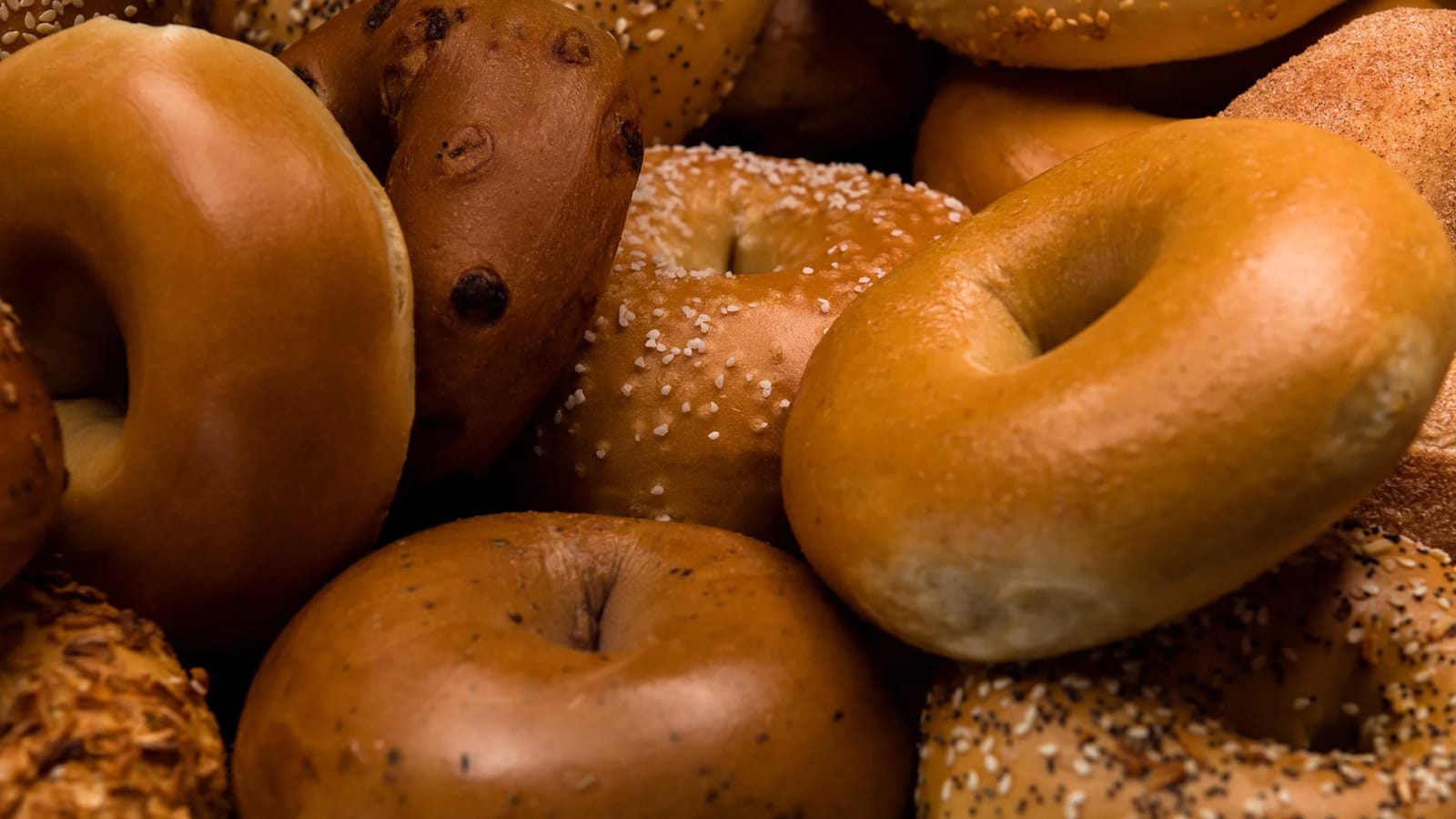 Old School Bagel Cafe photo 5