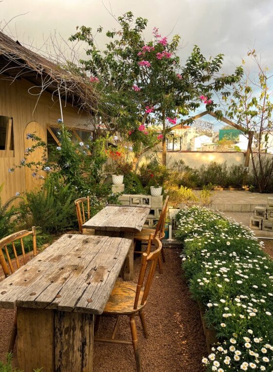 D'Lart Garden Drinking & Dining photo 7