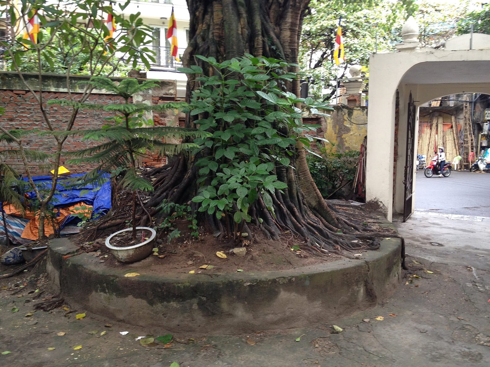 Cà Phê Sinh photo 3