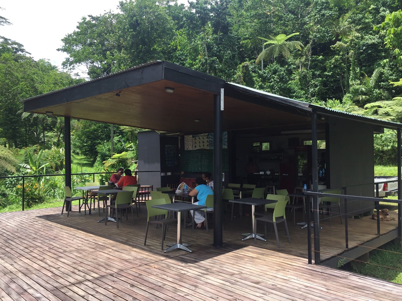 Forest cafe