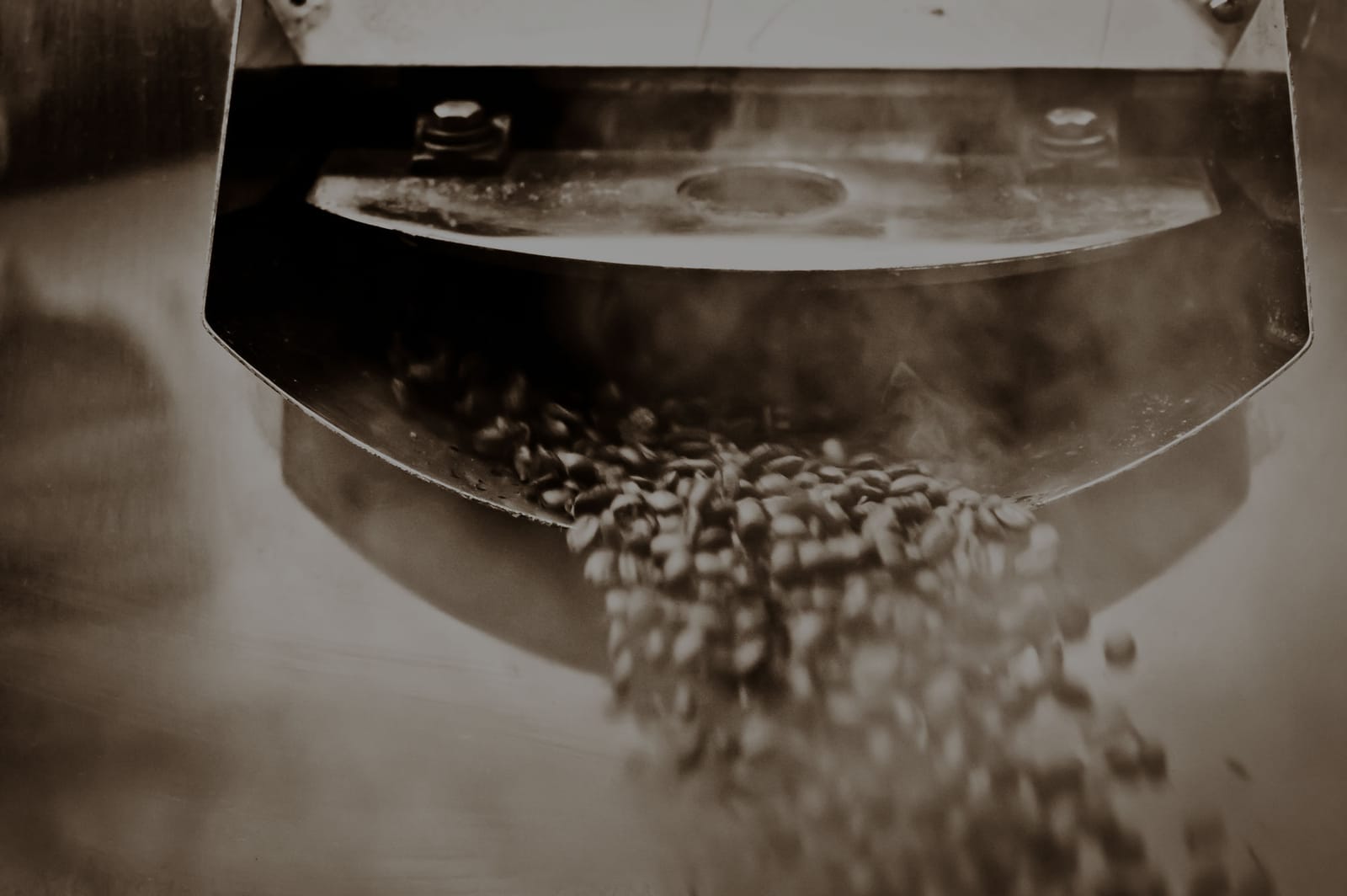 Aspen Coffee Company photo 2