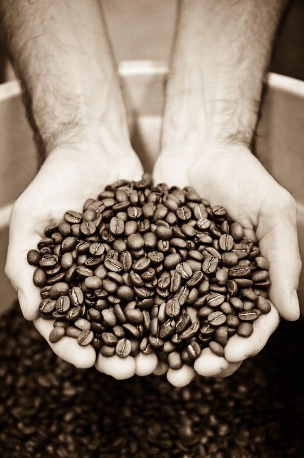 Aspen Coffee Lakeview photo 2