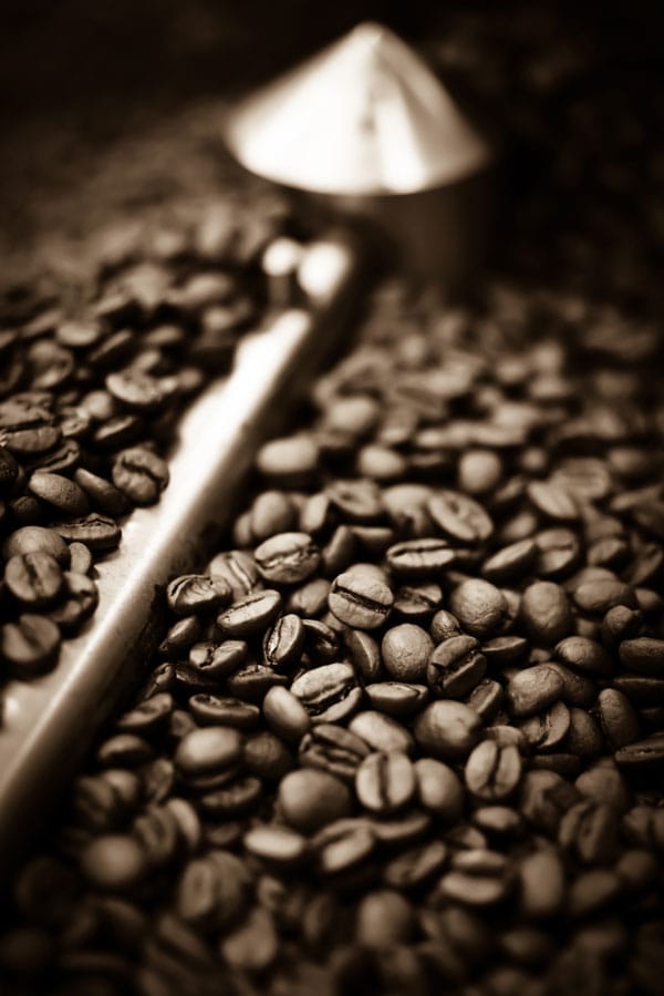 Aspen Coffee Company photo 5