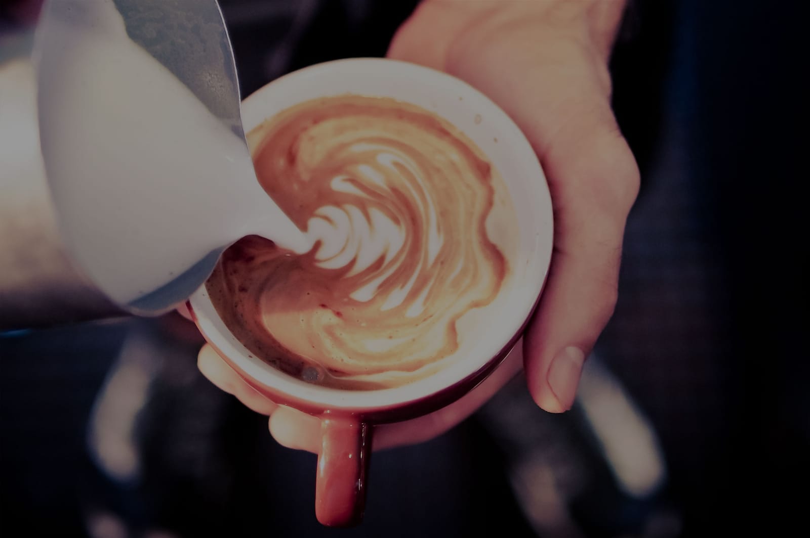 Aspen Coffee Company photo 4