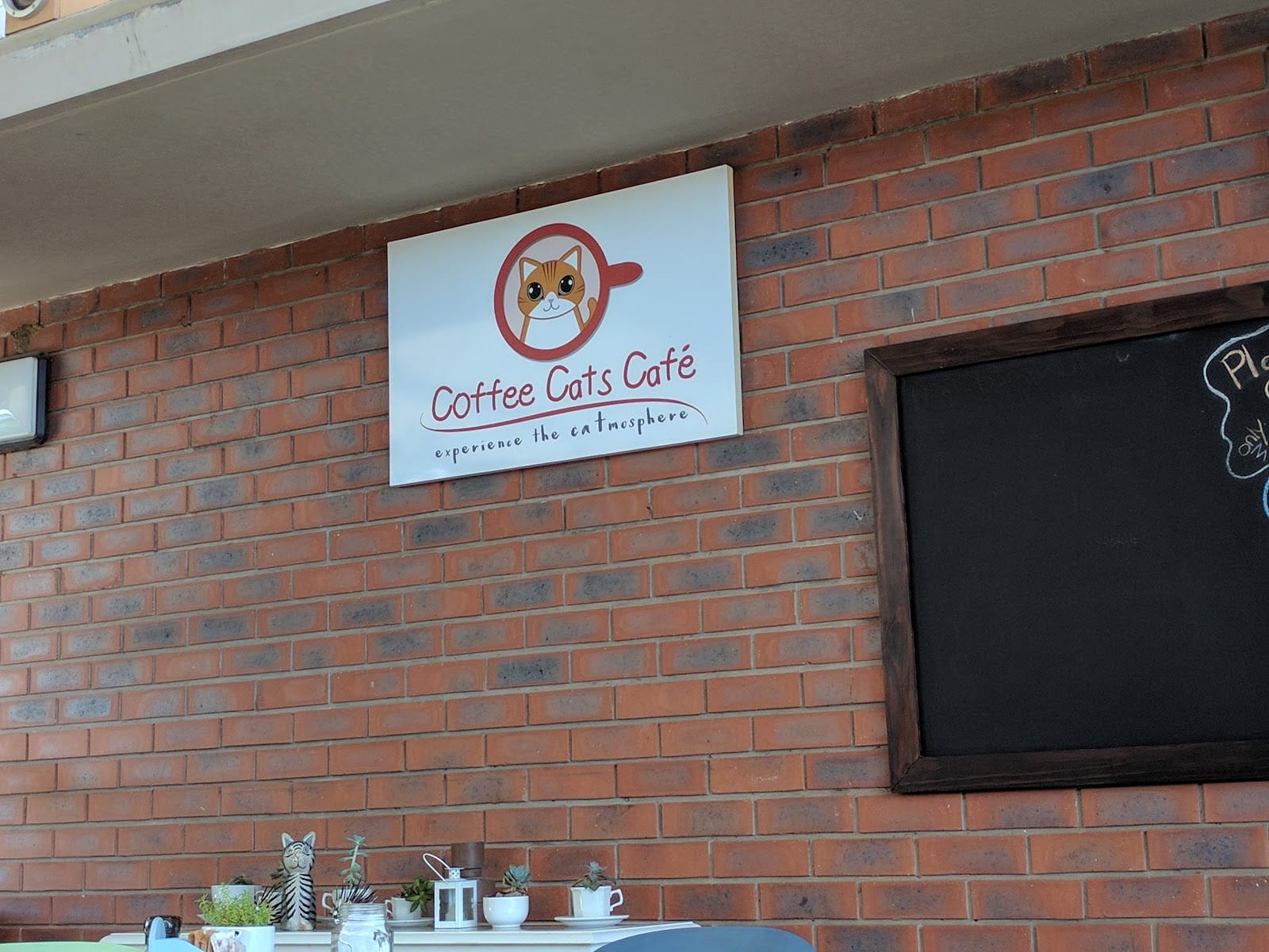 Coffee Cats Café