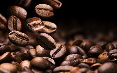 Tall Goose - Beans About Coffee