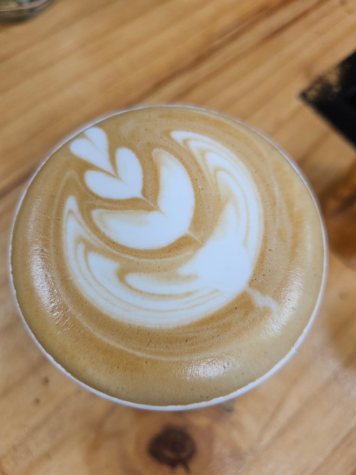 Seattle Coffee Company