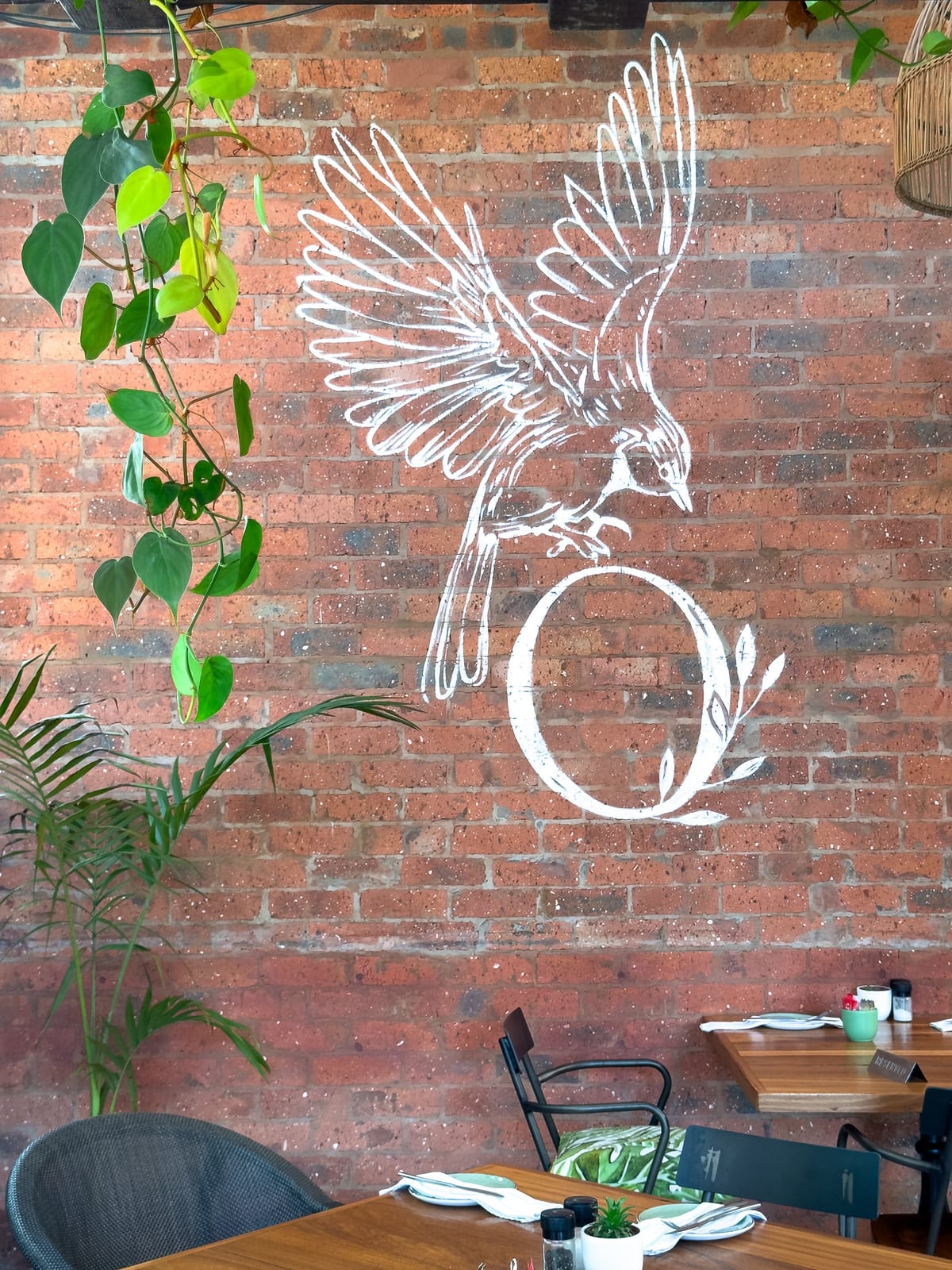 Cafe Sparrow photo 3