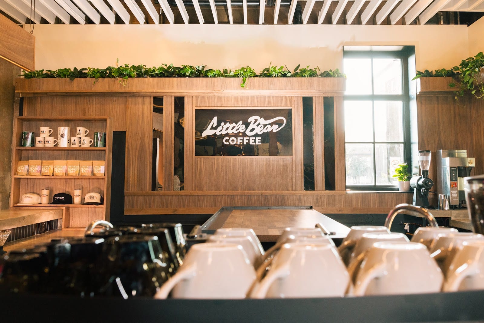 Little Bear Coffee at Sawmill Market