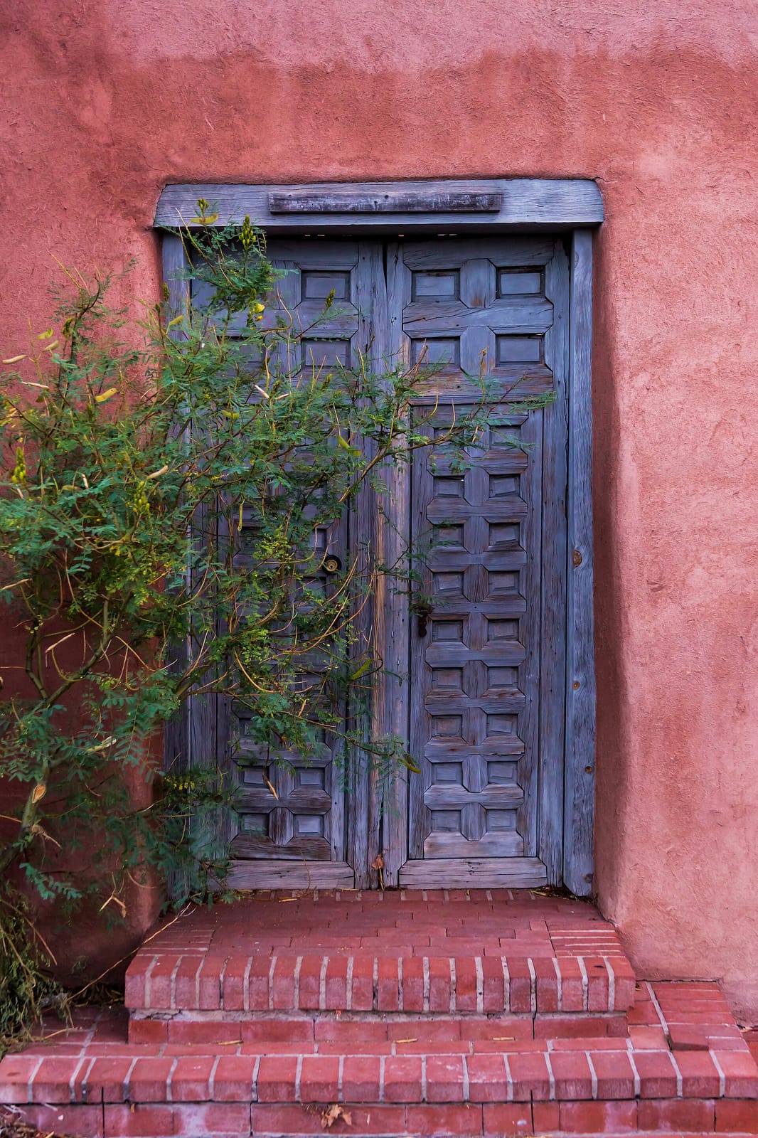 Santa Cecilia photo 2