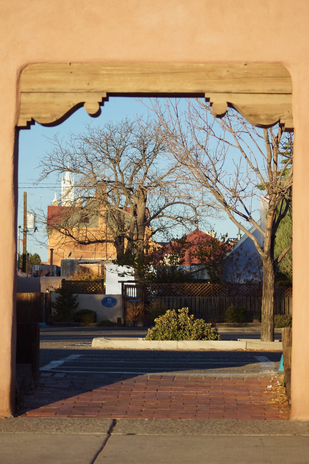 tiny grocer ABQ photo 4