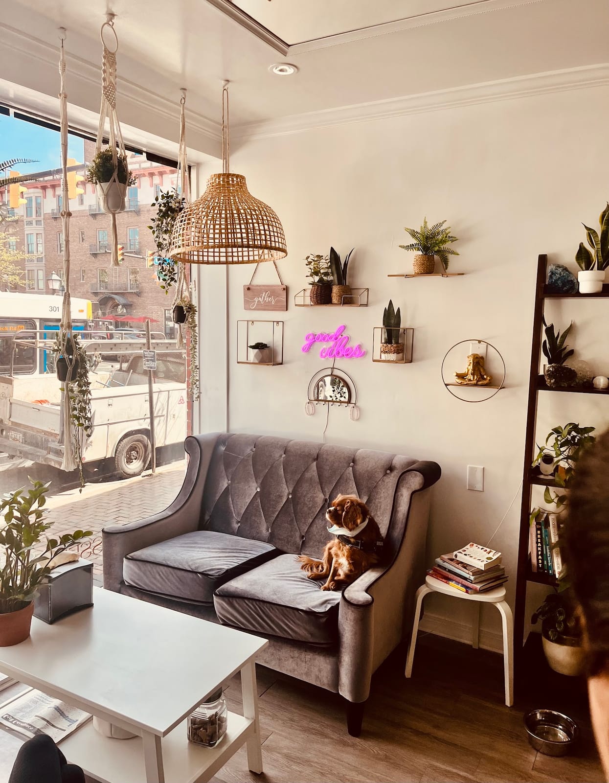 Zen Press Cafe & Juice Bar
