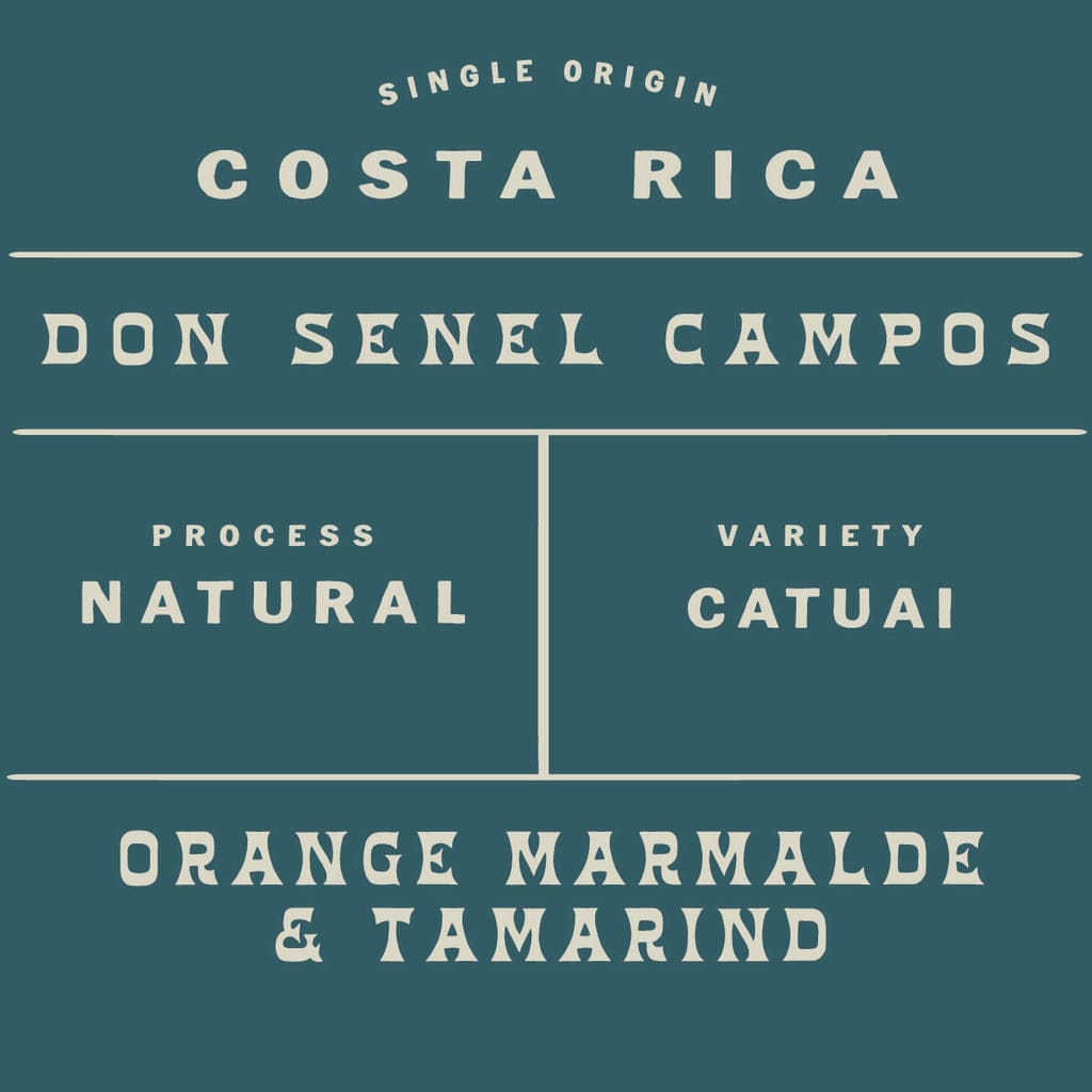 Queen City Collective Coffee photo 6
