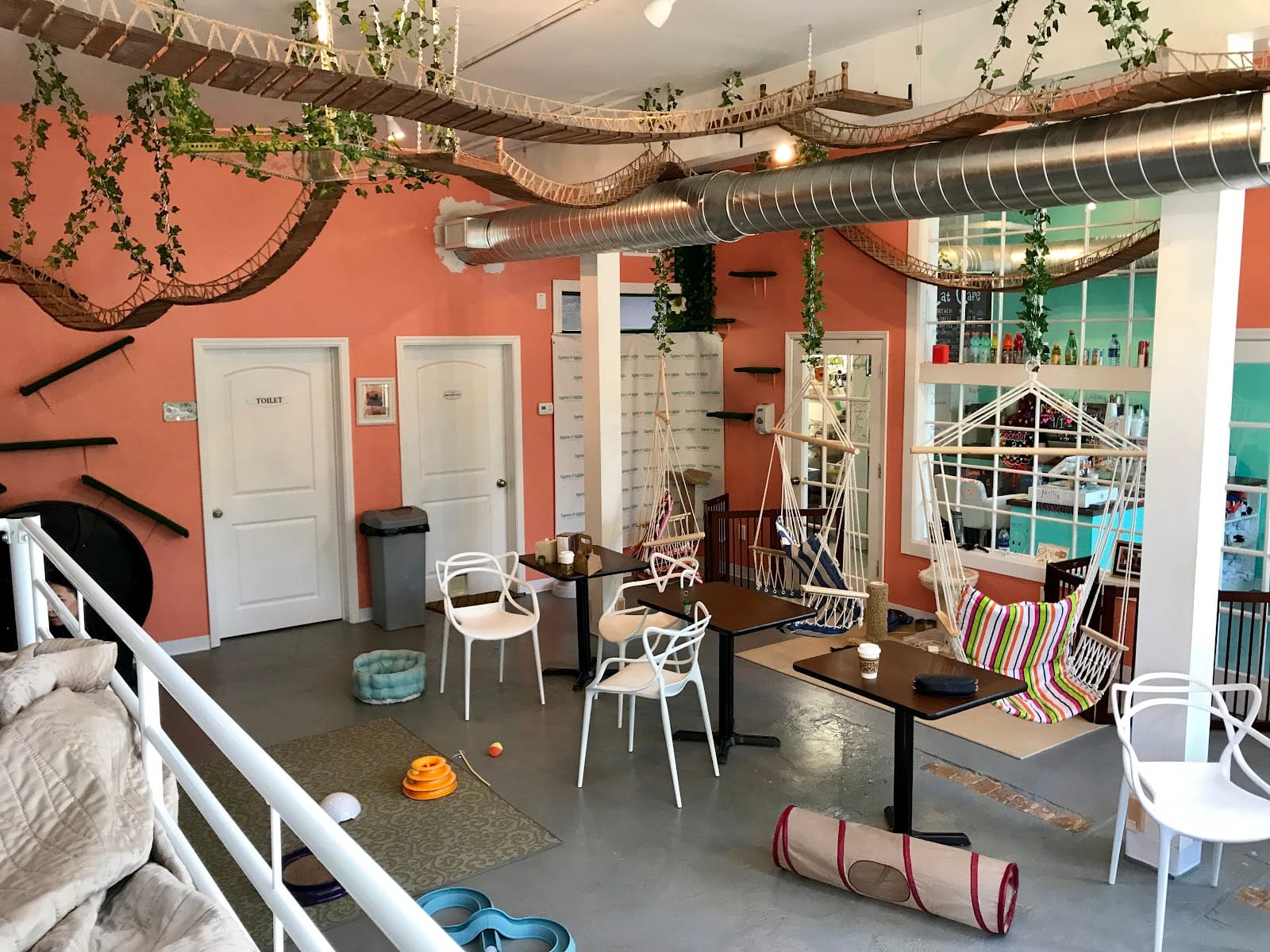 Happy Tabby Cat Café