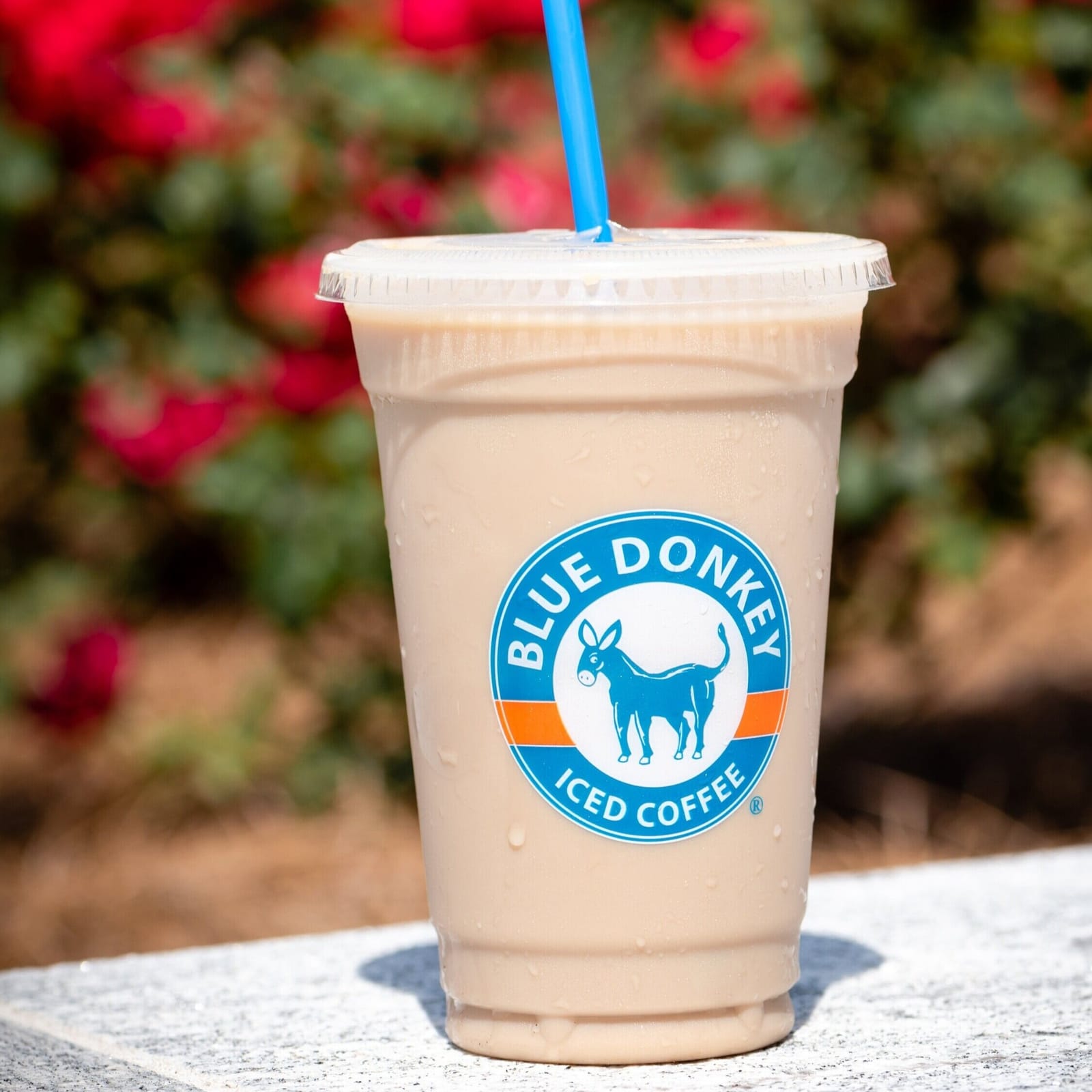 Blue Donkey Coffee Co. photo 4