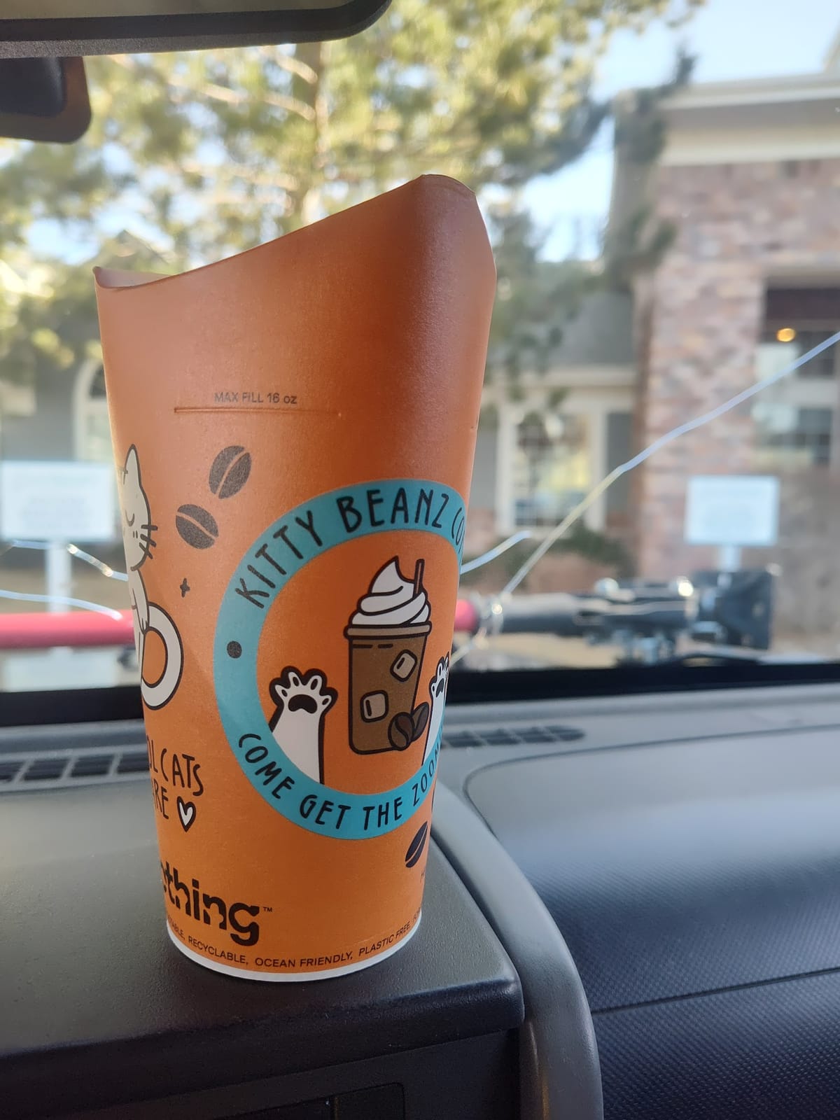 Kitty Beanz Coffee