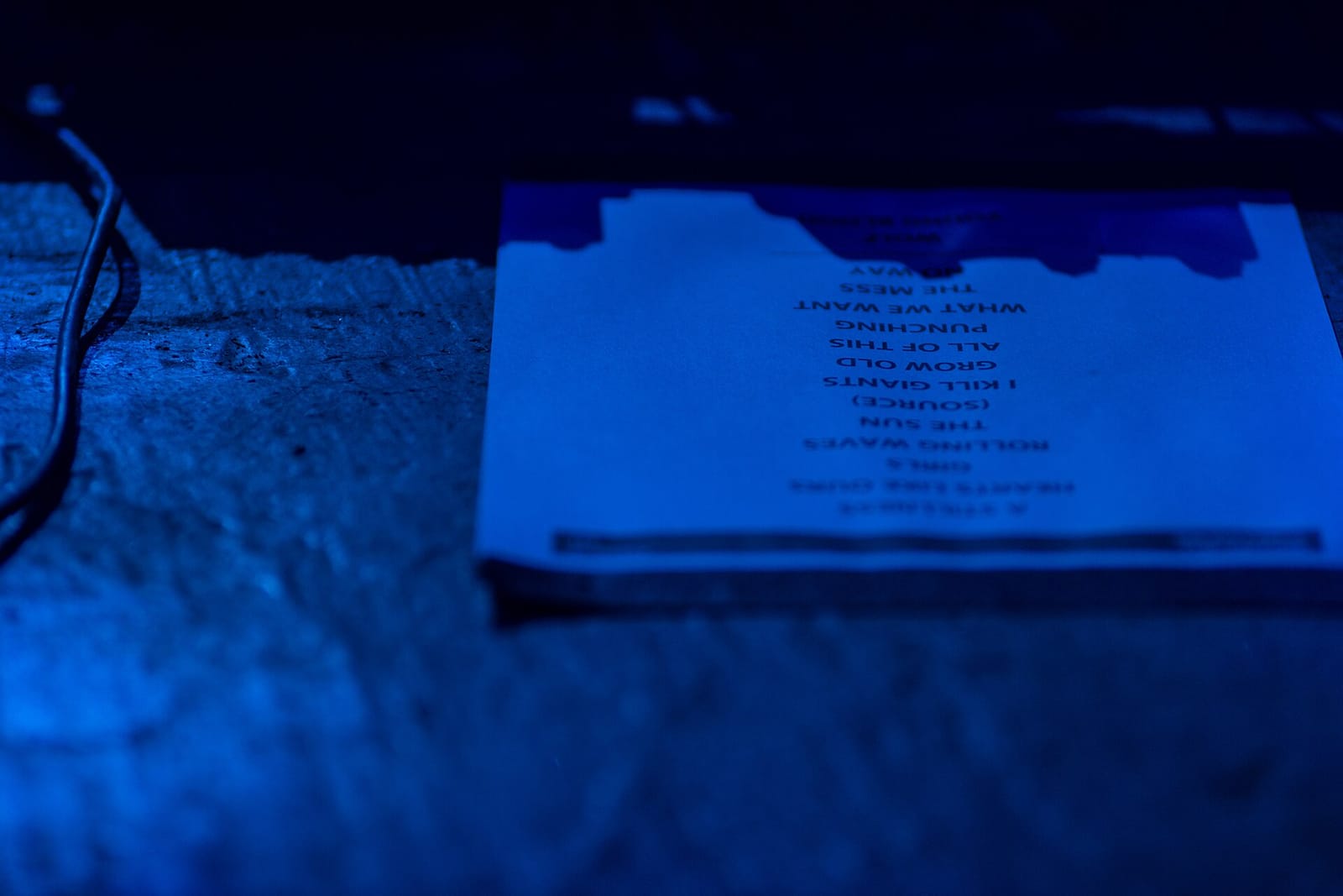 Sip Haus - Austin photo 11