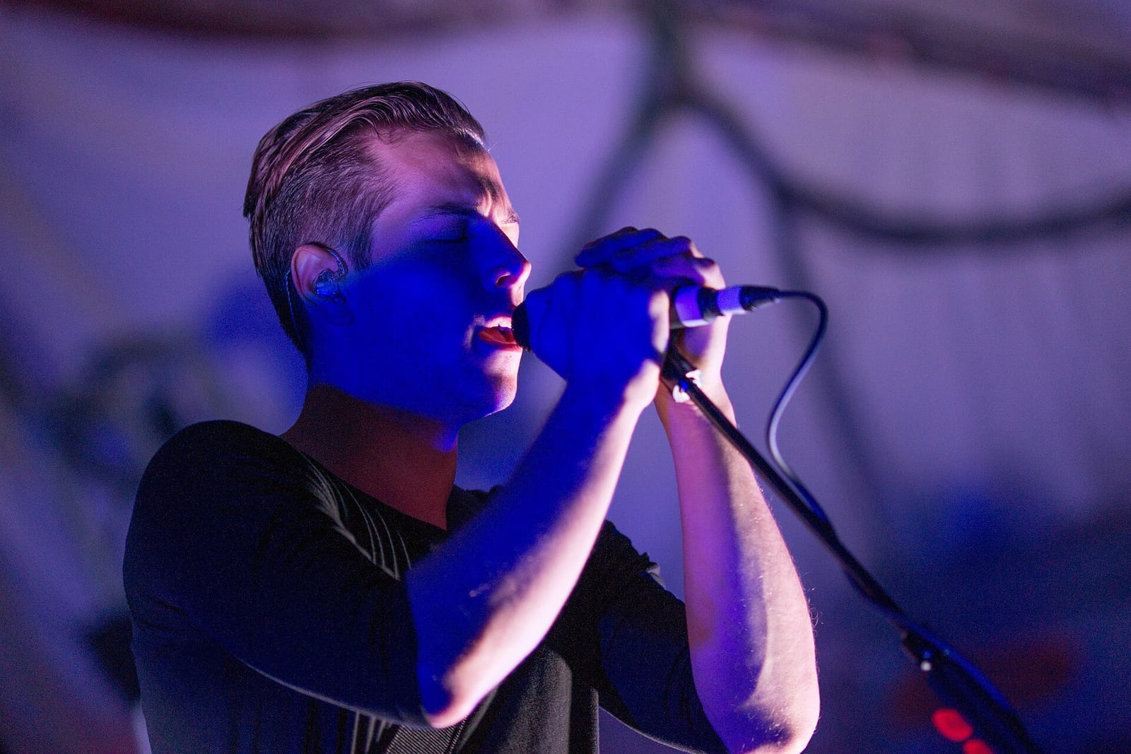 Sip Haus - Austin photo 9