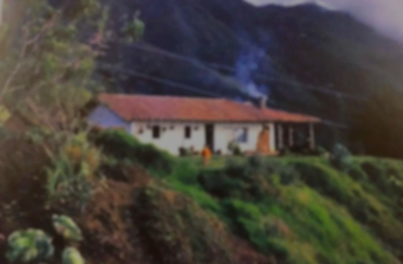 Las Brujas Coffee & Grocery photo 4