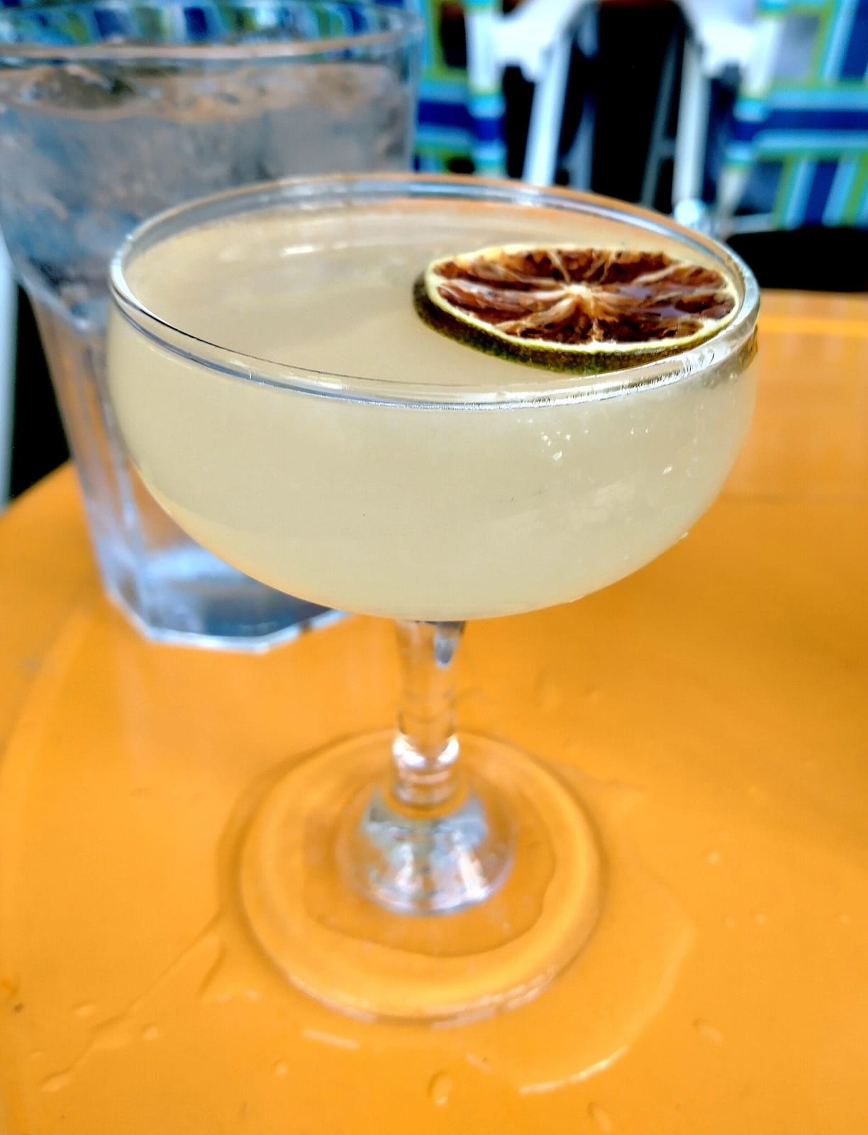 Pelican Cafe photo 3
