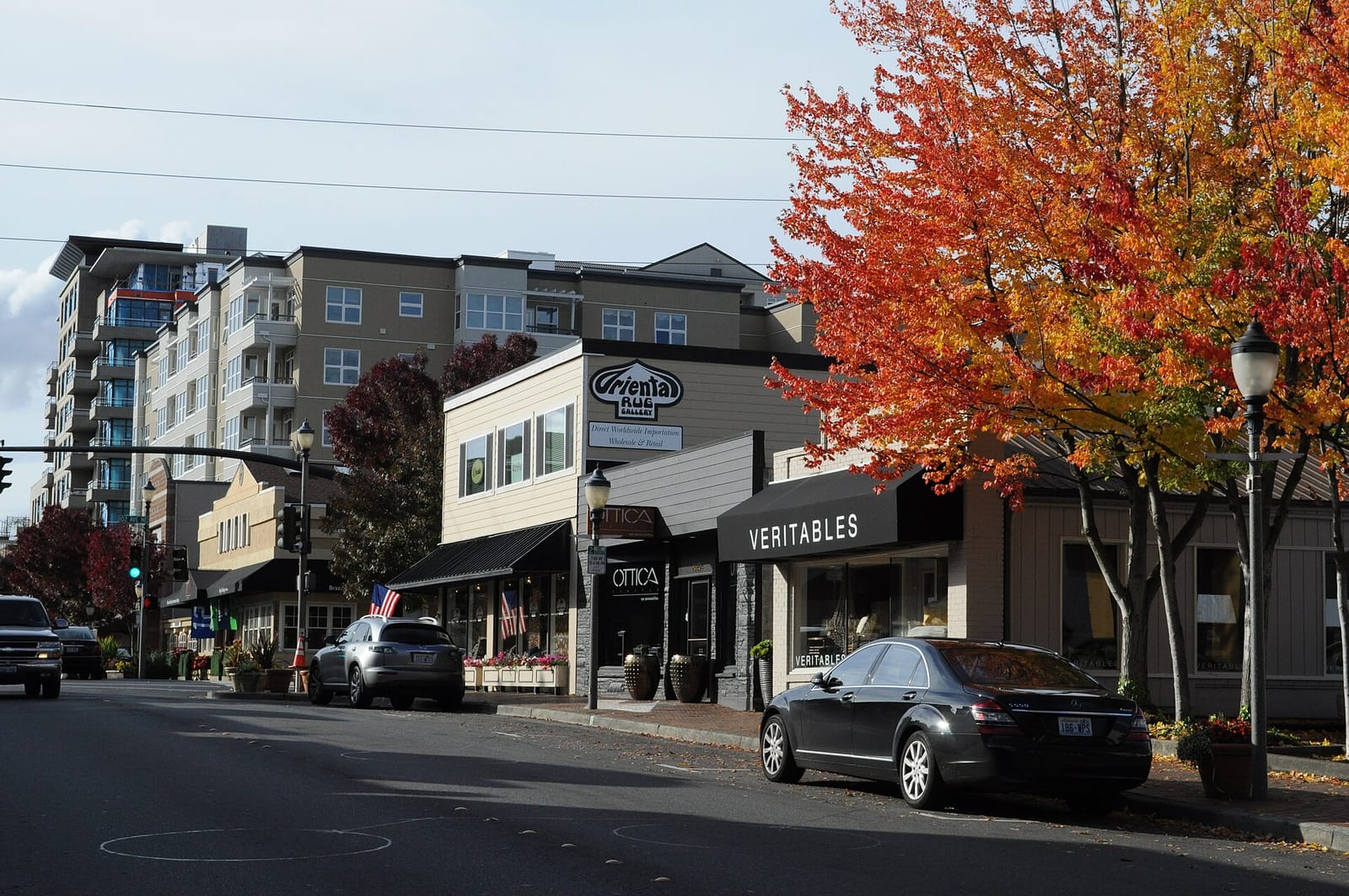 Matcha Magic Bellevue photo 3