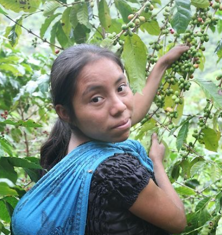 Cafenated Coffee Company photo 9