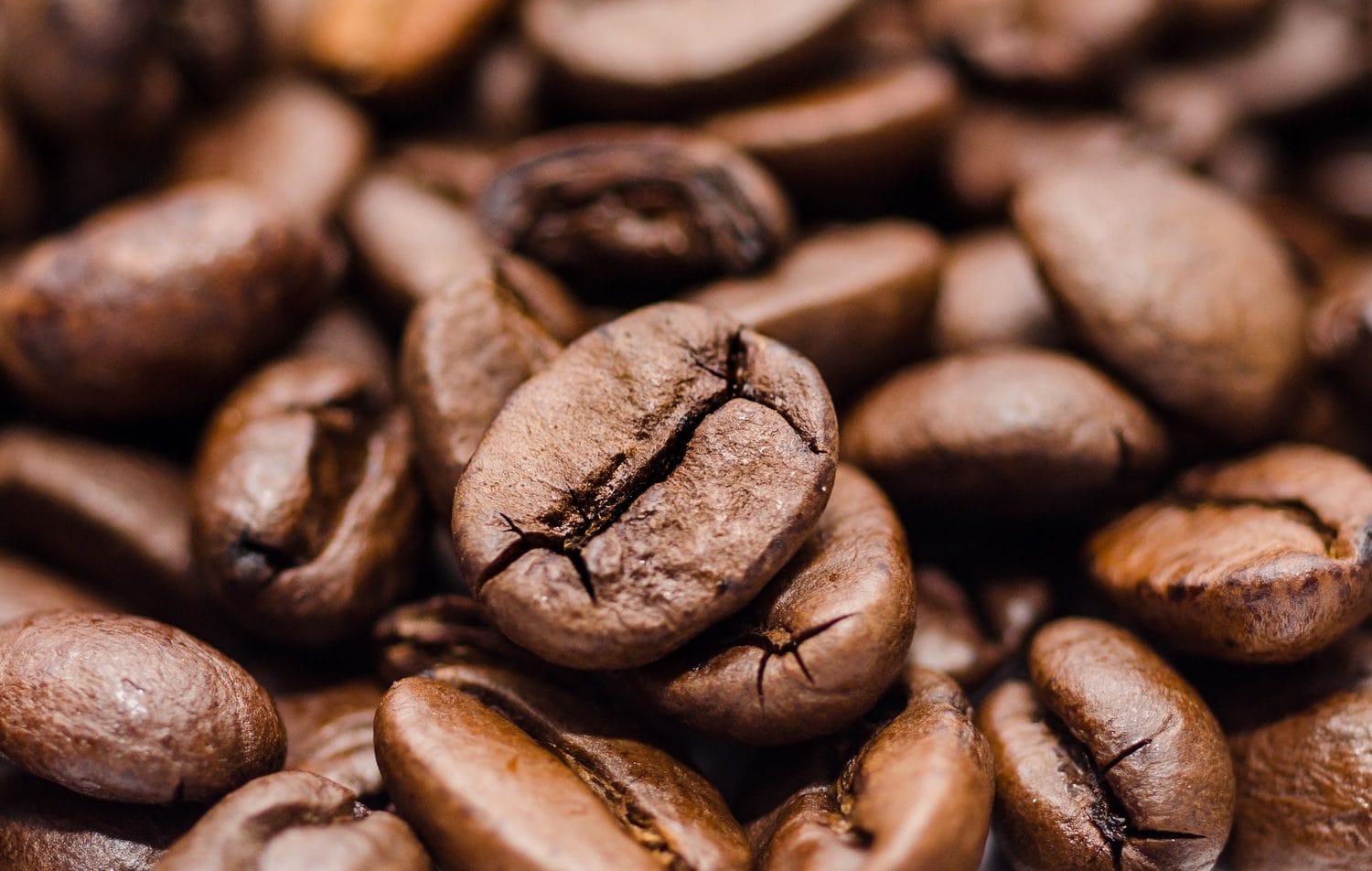 Mountain Mudd Espresso photo 2