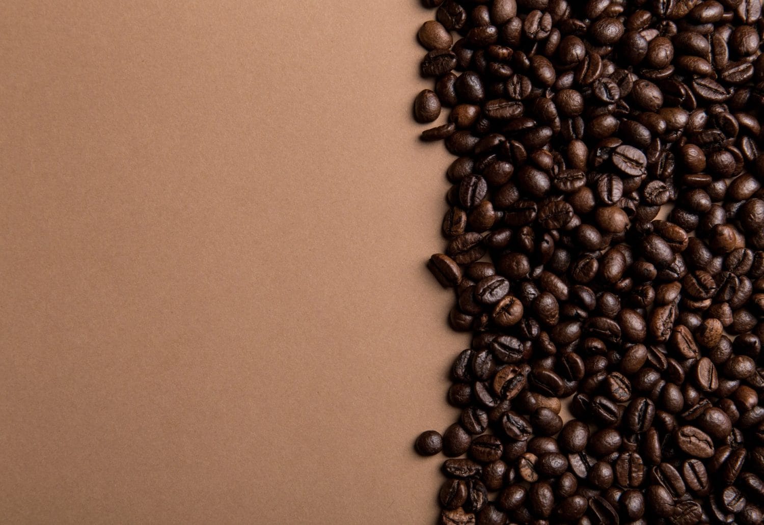 Mountain Mudd Espresso photo 3