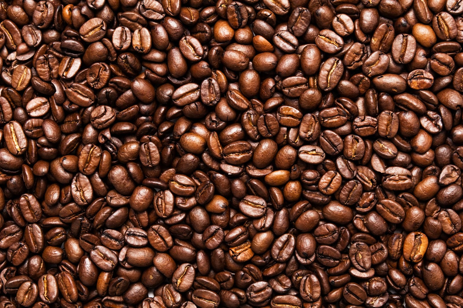 Khaos Coffee photo 3