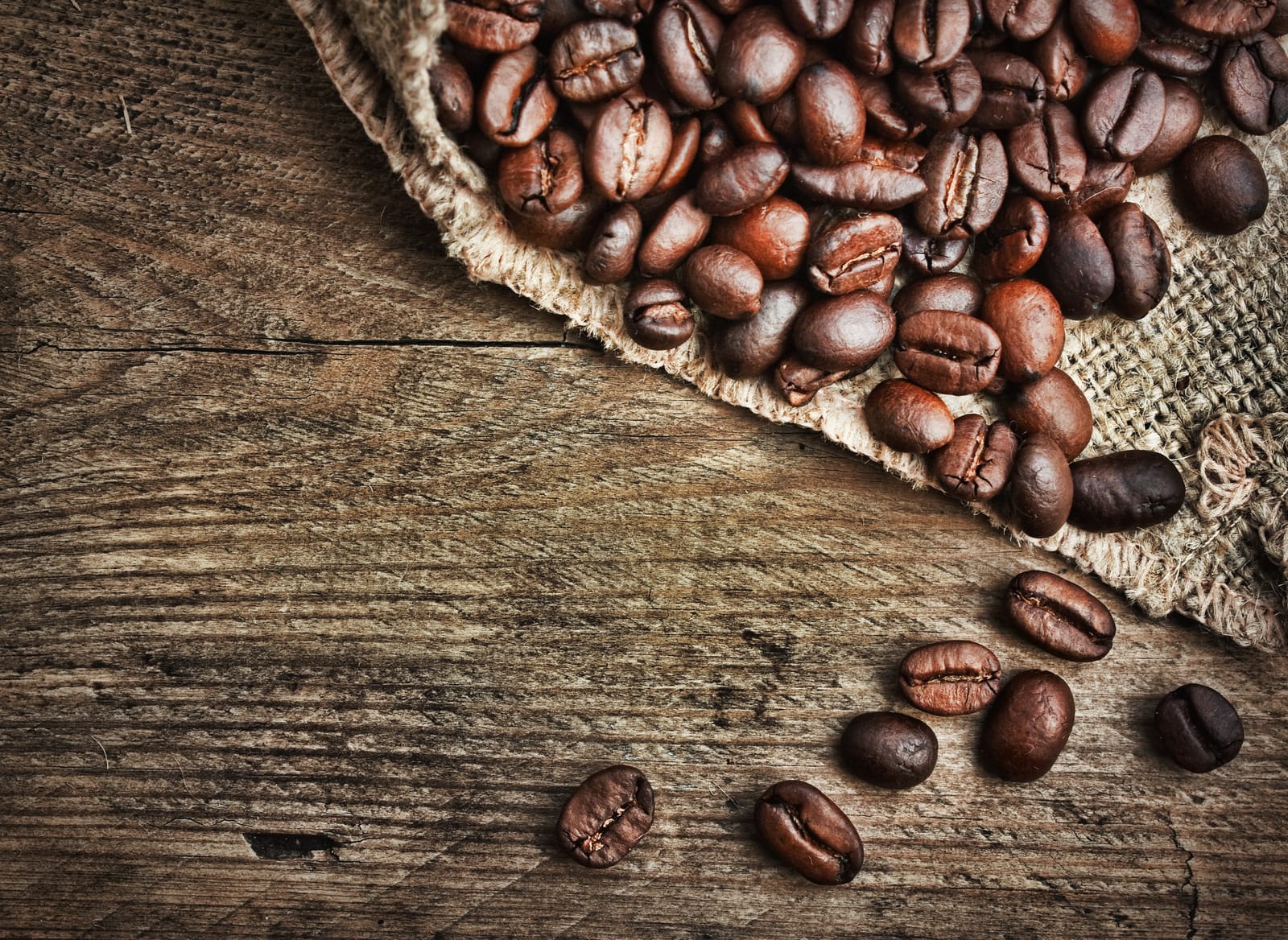 Khaos Coffee photo 4