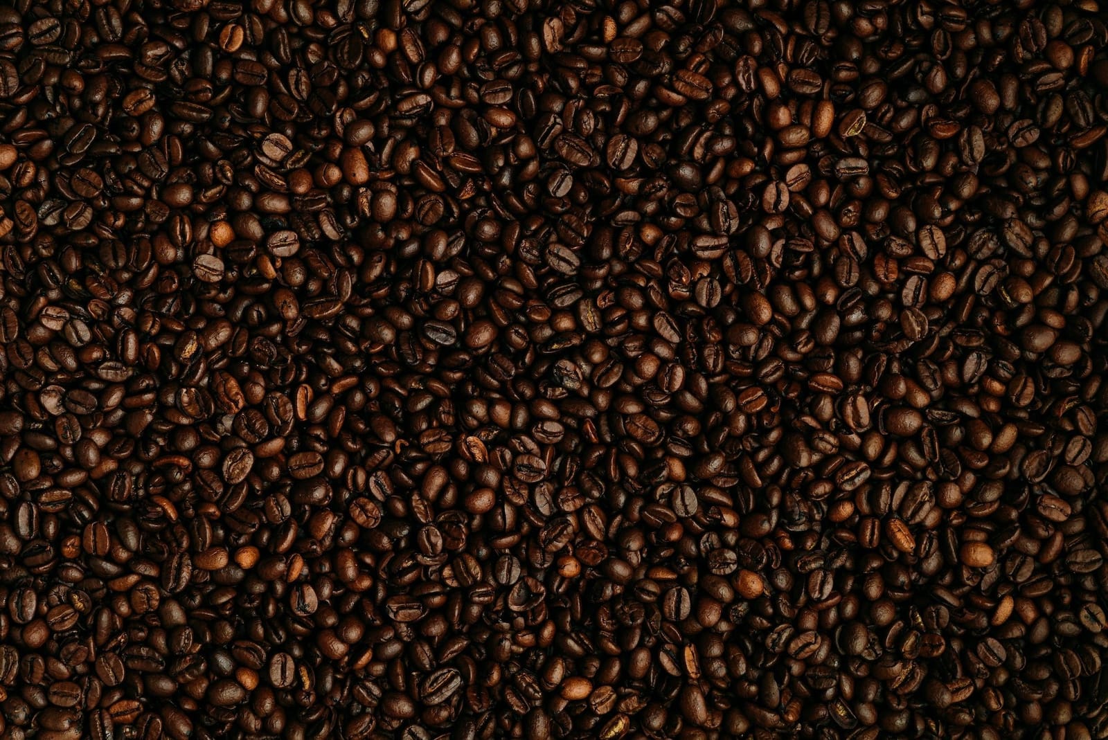 The Well Coffee House photo 2