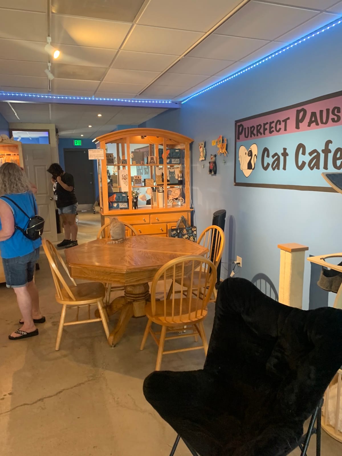 Purrfect Pause Cat Cafe