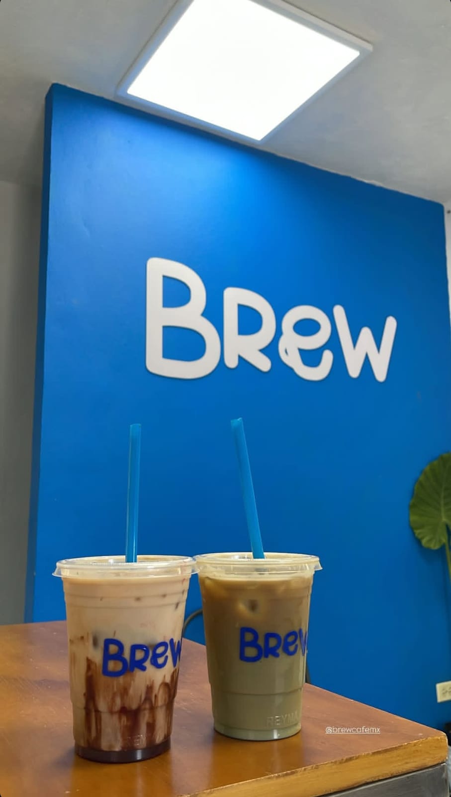 Brew Café