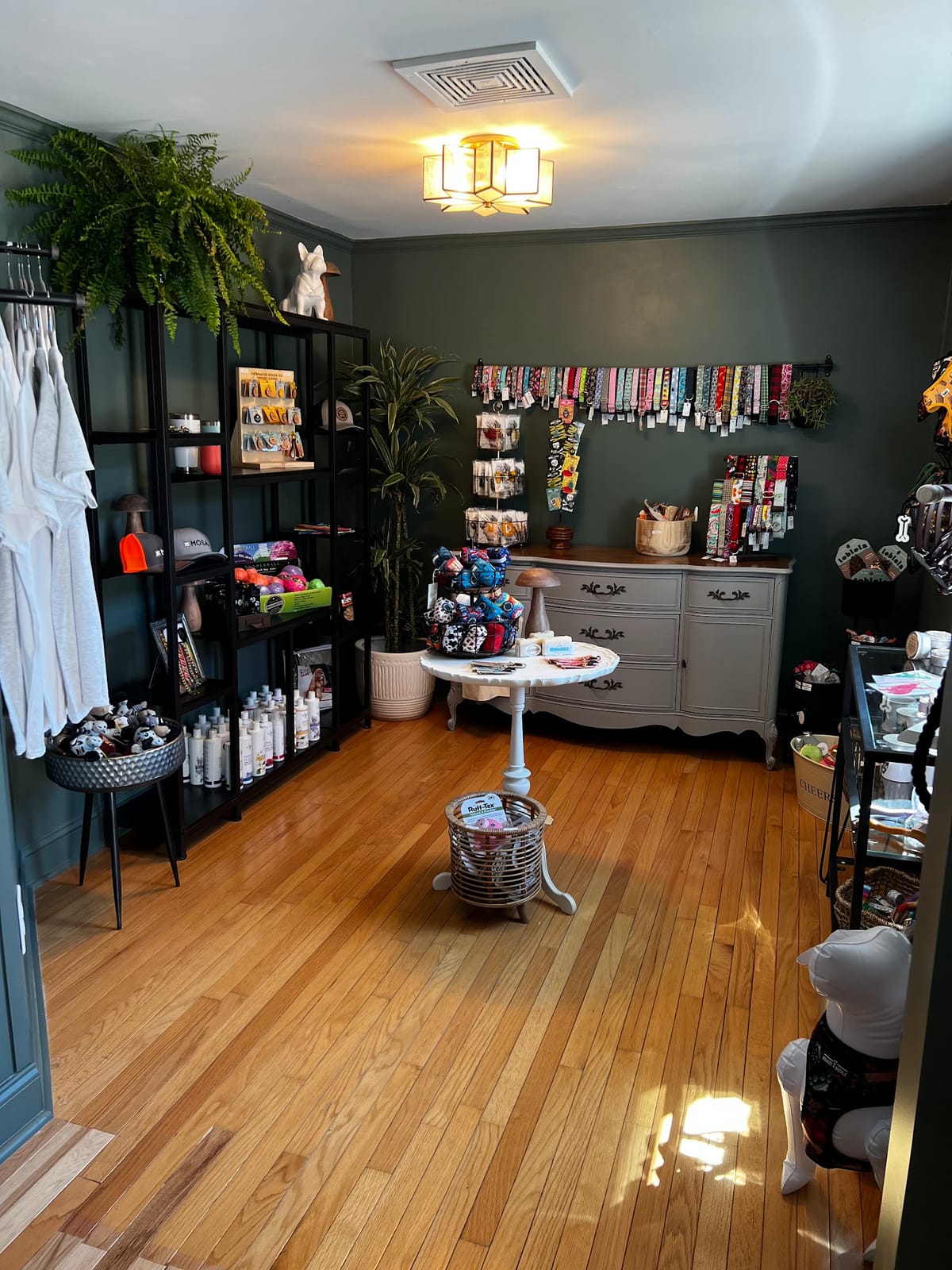 Mosa Pet Spa & Boutique