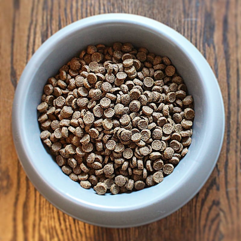Pet Wants: The Urban Feed Store photo 6