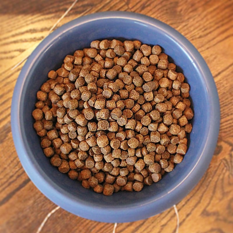 Pet Wants: The Urban Feed Store photo 7