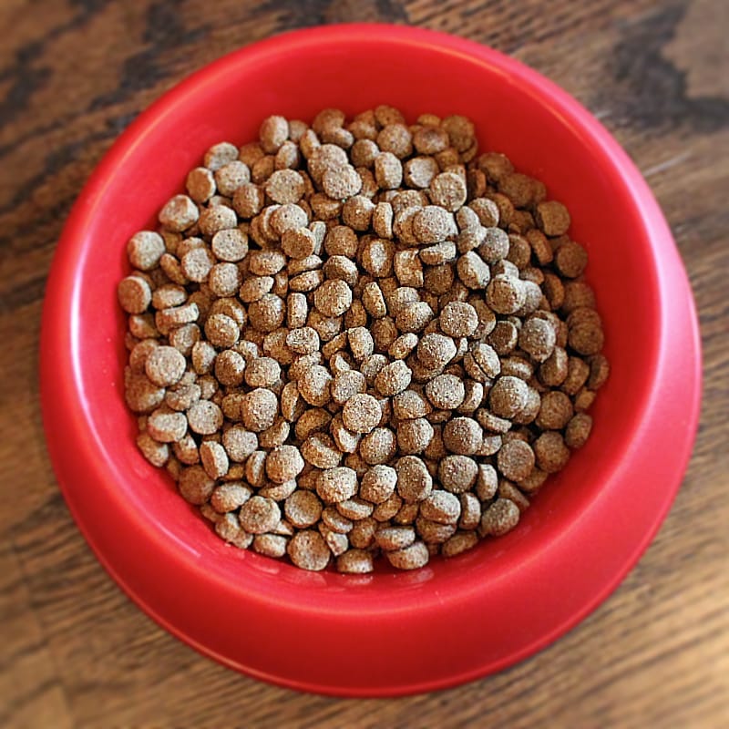 Pet Wants: The Urban Feed Store photo 8
