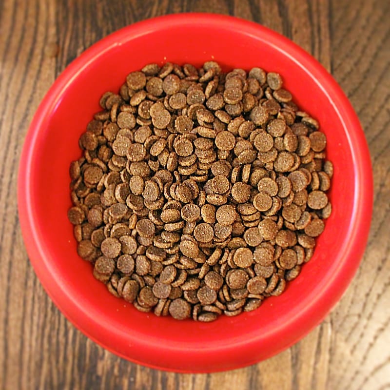 Pet Wants: The Urban Feed Store photo 3